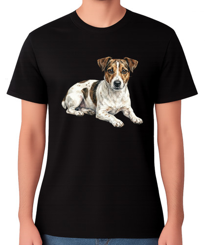 Jack russell terrier - jack,