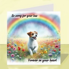 Jack Russell Terrier Dog