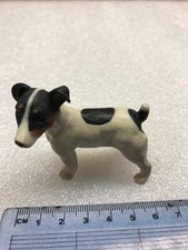 Jack Russell Terrier Dog