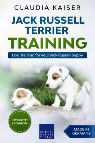 Jack russell terrier - russell, training