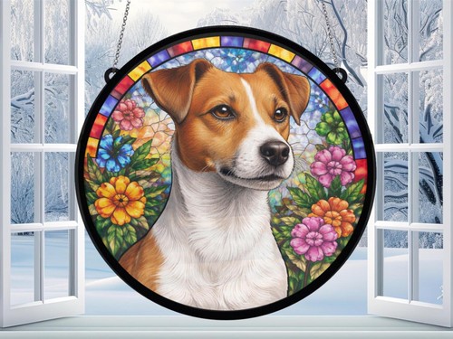 Jack russell terrier - russell,