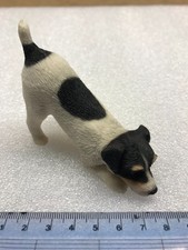 Jack Russell Terrier Dog