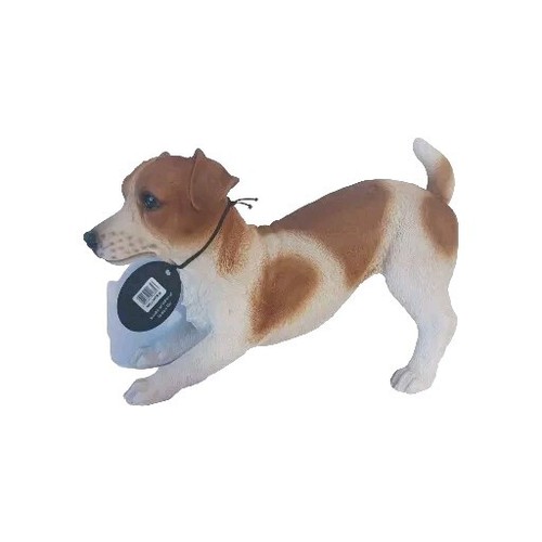 Vivid arts jack russell - vivid,