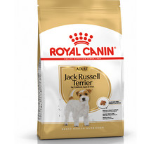 ROYAL CANIN DOG JACK RUSSELL