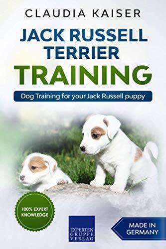Jack russell terrier - russell, training