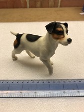 Jack Russell Terrier Dog