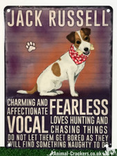 20cm metal vintage style Jack