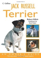 Jack Russell Terrier: An