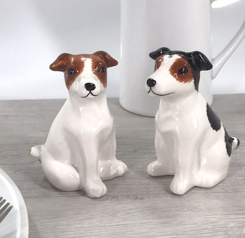 Jack russell terrier - terrier, novelty