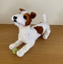 Parson Jack Russell Terrier