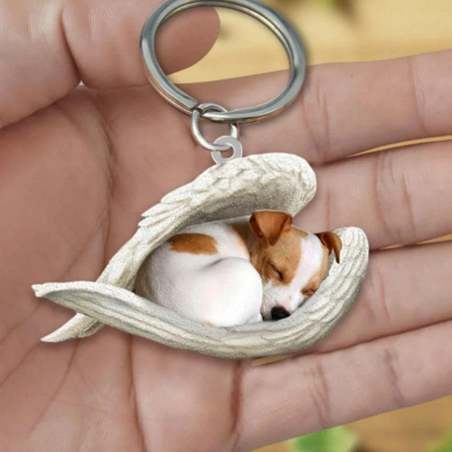 Cat dog sleeping - cat, angel