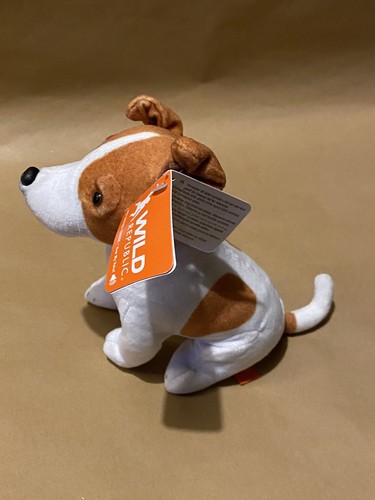 Jack russell terrier inch - russell, 7