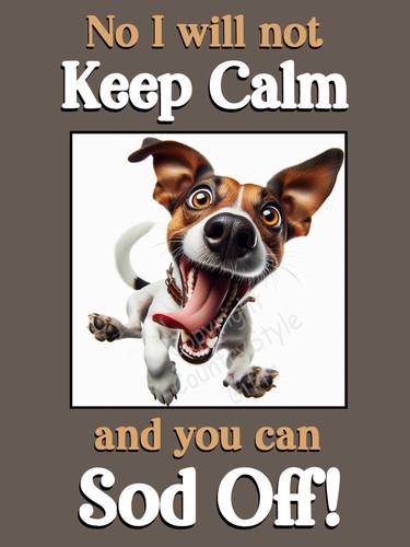Jack russell terrier pet dog - russell,