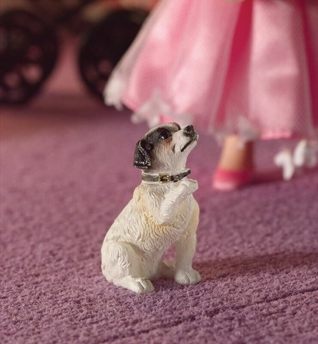 Fergie the jack russell - fergie,