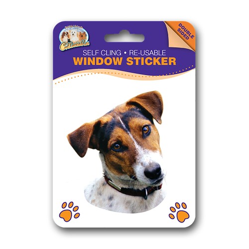 Jack russell terrier 2 - jack,