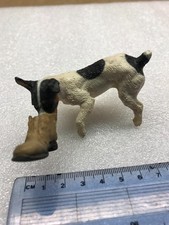 Jack Russell Terrier Dog