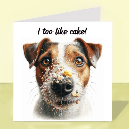 Jack russell terrier - jack, dog