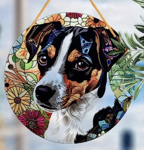 Jack russell terrier dog - russell,