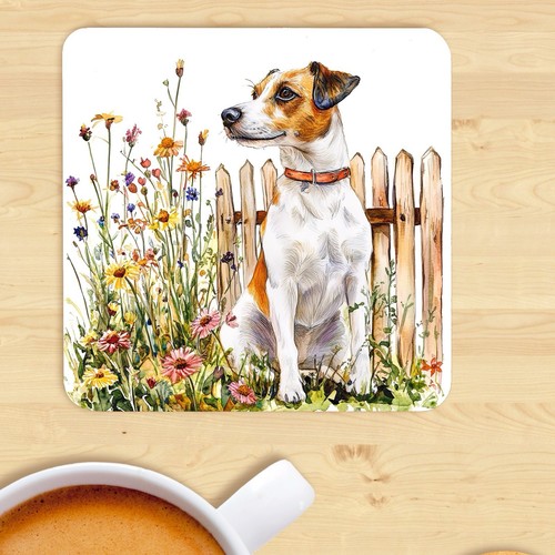 Jack russell terrier dog - russell,