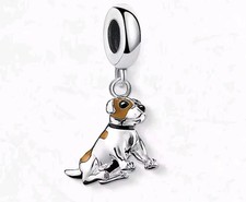 Jack Russell terrier dog S925