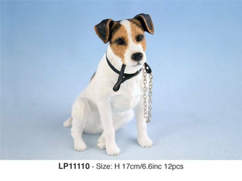 Jack russell terrier dog - terrier,